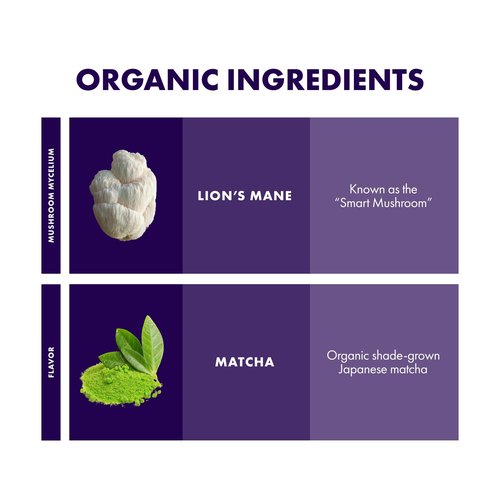 Host Defense MycoBrew Matcha - Matcha Drink Mix - Matcha Green Tea Powder that Includes Lion's Mushroom - Drink Mix with Organic Matcha Tea - 10 Packets (10 Servings)