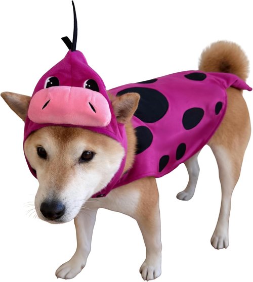 ComfyCamper Dinosaur Costume Headpiece & Cape for Dogs - Purple Dino Cosplay | XS-XXL Sizes