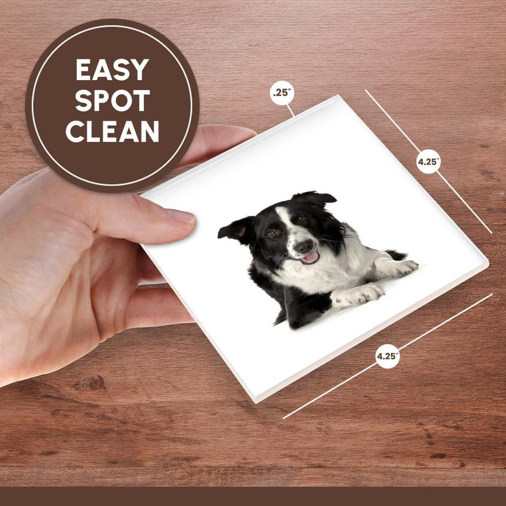 3dRose CST_21077_4 Border Collie Ceramic Tile Coasters, Set of 8
