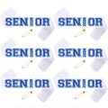 6PCS White Senior 2026 Sashes with Royal Blue Glitter Printing Letters，2026 Graduation Celebrations Sashes, Class of 2026 Sash for Graduation Party, Senior Cheerleader, Class Competition Sashes