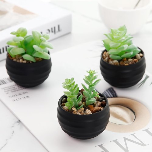 Der Rose Set of 6 Artificial Succulent Plants in Pots - Perfect for Halloween & Home Decor