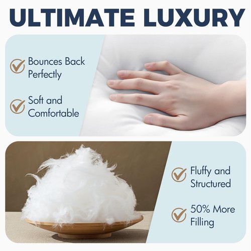 MIULEE 24x24 Euro Pillow Inserts, Fluffy Down Alternative Filling Pack of 2 Ultra Soft Throw Pillows for Bed Sofa Couch