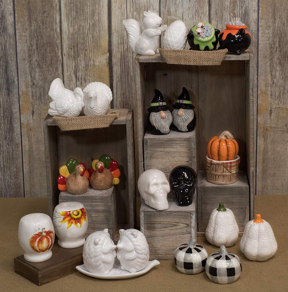 Boston International Pumpkin Harvest Ceramic Serveware, 2.5 x 3-Inches, Salt & Pepper Shaker Set