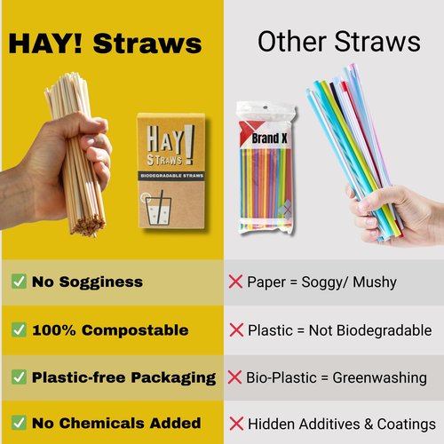 HAY! STRAWS Reed Boba Straws 500PCS | 12mm Extra Wide Natural Plant Stem | Never Soggy PFAS-Free Biodegradable | Ocean-Friendly for Bubble Tea Smoothies
