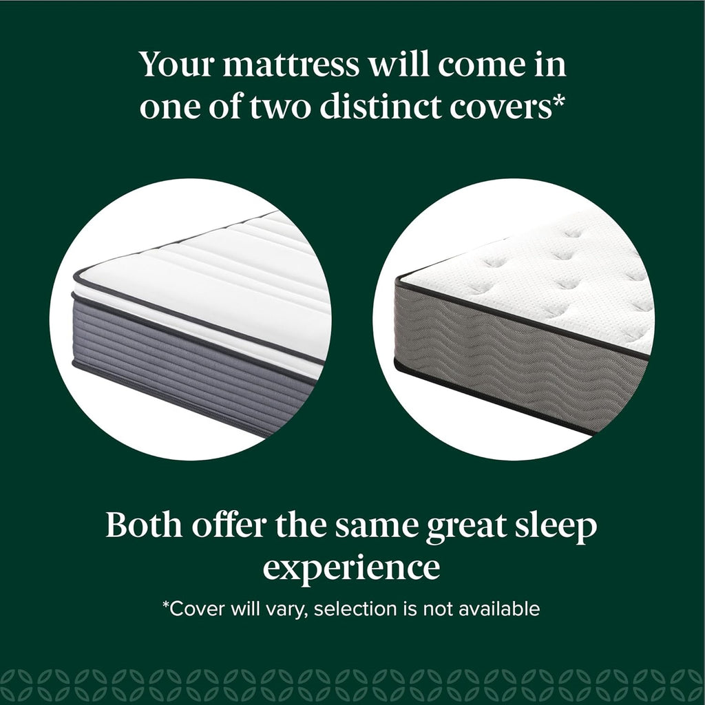 ZINUS 10 Inch True Support Hybrid Mattress - Queen Size, Medium Feel, Fiberglass Free, Motion Isolation