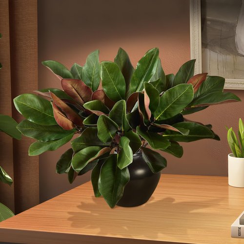OBDXZHC 4 Pcs Magnolia Artificial Leaves Branches 22 Inch 3D Real Touch Faux Magnolia Stems Fake Magnolia Twigs for Indoor Outdoor Vase Filling Home Wedding Floral Arrangement Decoration