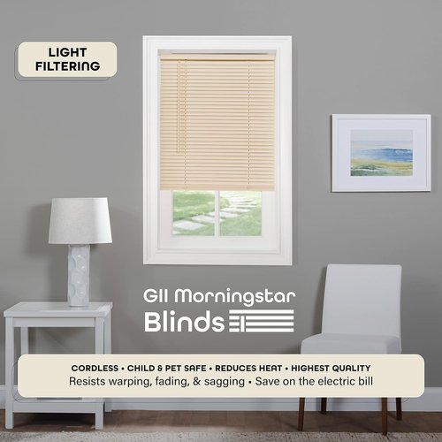 Morningstar Cordless GII Mini Blinds - Light Filtering, 28x64 Inches, Alabaster Color