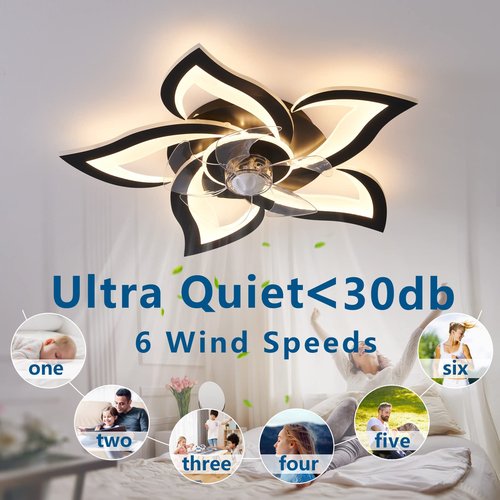 Dalouguan Ceiling Fan with Lights Remote Control, 24" Black, 6 Speeds 3 Light Color Low Profile Flush Mount Ceiling Fan for Kitchen Bedroom