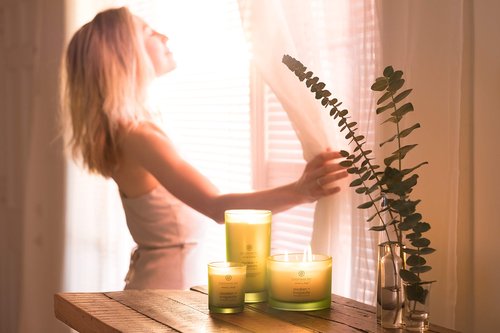 Chesapeake Bay Candle Scented Candles, Awaken + Invigorate (Lemongrass Eucalyptus), Medium 2-Pack, Green, Brown, 2 Count
