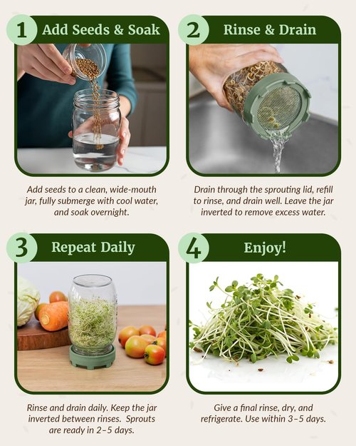 Elementi Sprouting Lids for Wide Mouth Mason Jars (Set of 4), Sprouting Jar Kit for Organic Alfalfa & Mung Bean Sprouts Growing Kit, 316 Stainless Steel Mesh Screen Strainer Lid (Sage Green)