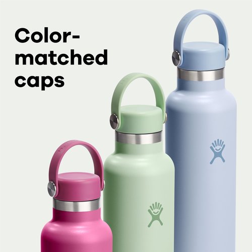 Hydro Flask Water Bottle - Insulated Stainless Steel - Non Spill, Leakproof in 21 Oz Coconut Cream