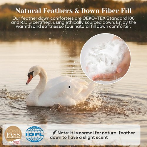 Joysoul Queen Size Down Comforter - All Season Ultra Soft Goose Down & Feather Fiber Fill, Luxury Hotel Sage Green Duvet Insert with Corner Tabs (88" X 88")