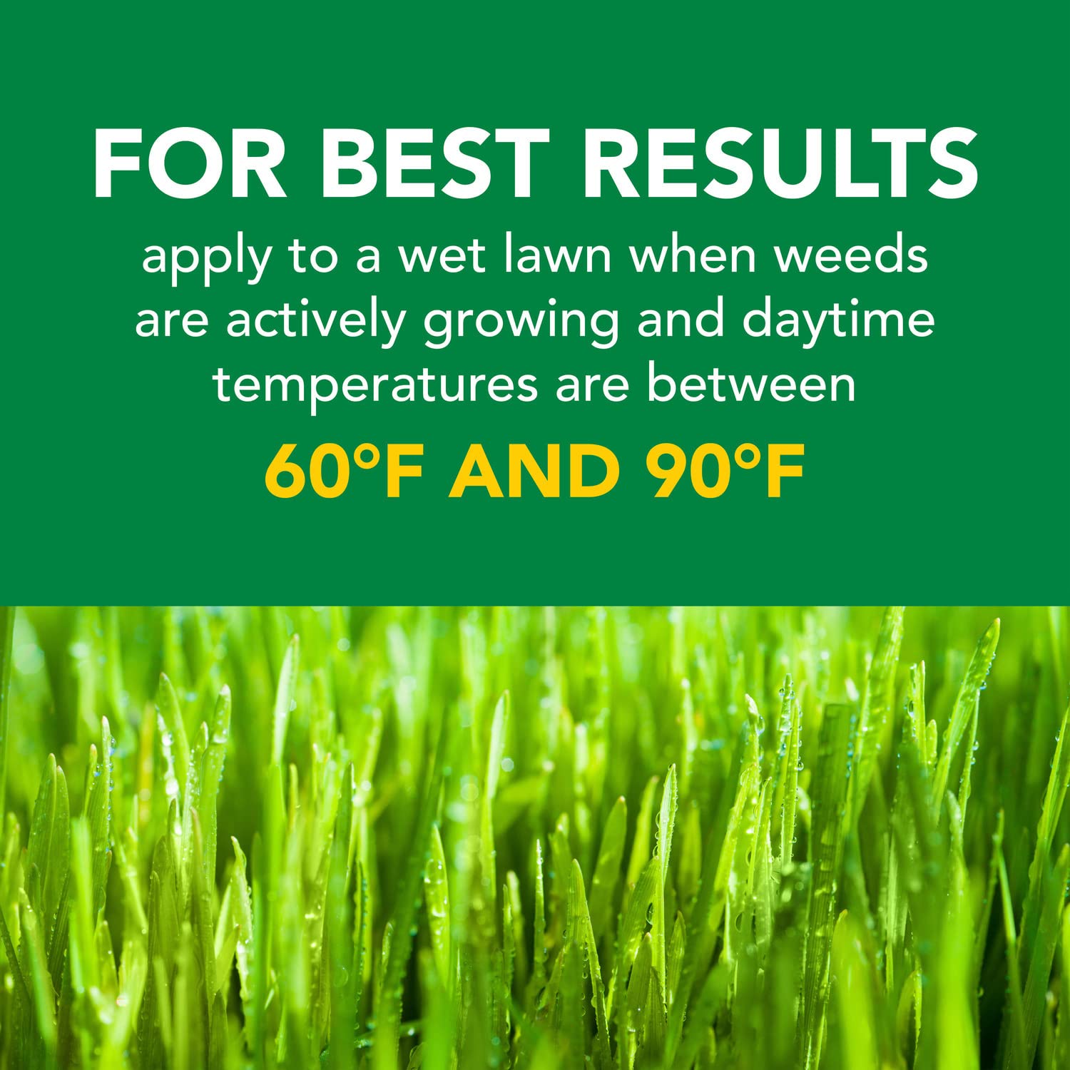Scotts Turf Builder Weed and Feed - Effective Lawn Care Solution for 5,000 Sq. Ft.