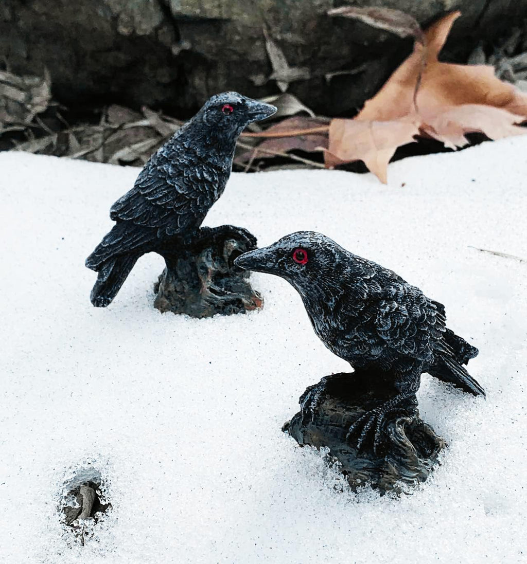 Skiennix 2PCS Resin Crow Raven Statues - Black Bird Halloween Decor | Realistic Design