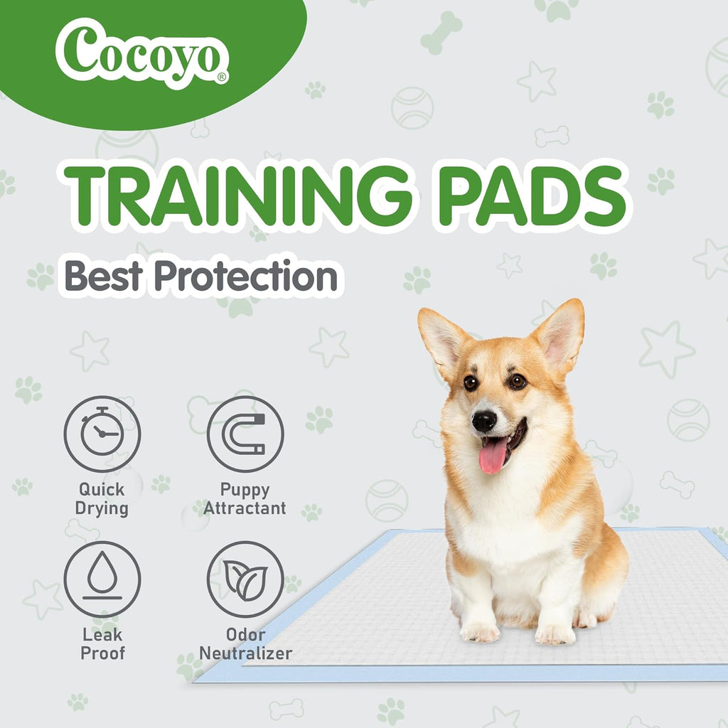 COCOYO Dog Training Pads - Super Absorbent XXXL Size (30" x 45") | 30 Count for Ultimate Convenience