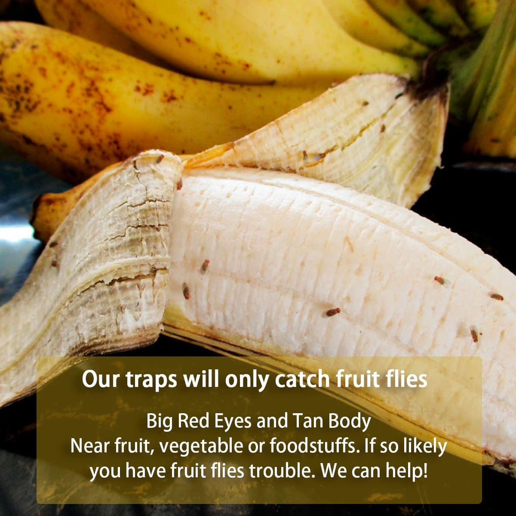 Reusable Fruit Fly Trap by [Brand Name] - Non-Toxic & Safe for Kids and Pets | Easy Kitchen & Home Use