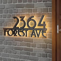 Personalized Acrylic Address Sign by [Brand Name] - Waterproof LED House Numbers | 4-6 Inch Backlit Custom Design