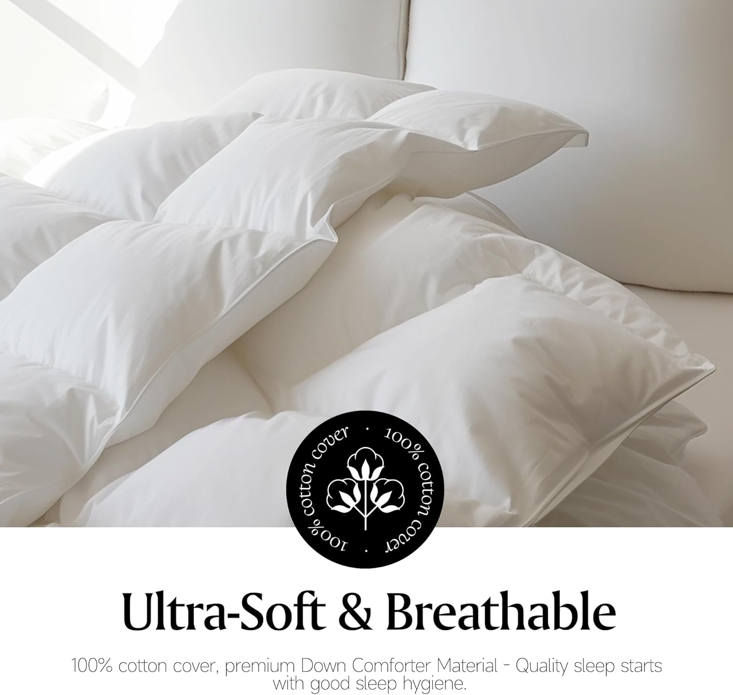 Royal Luxe Goose Feather Down Comforter - Ultra Soft Queen Size Duvet Insert | 100% Cotton, All-Season Bedding, 88”x88”