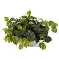Nearly Natural 6713 Pothos with White Wash Planter Decorative Silk Plant, Green,20.5" x 12" x 6"