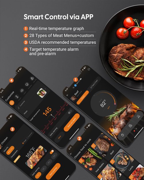 Wireless Bluetooth Meat Thermometer for Smoker, Fitflavor WiFi Meat Thermometer for Grill BBQ, Smart Meat Probe for Food Cook Oven Grilling - Dual Probes, Rechargeable