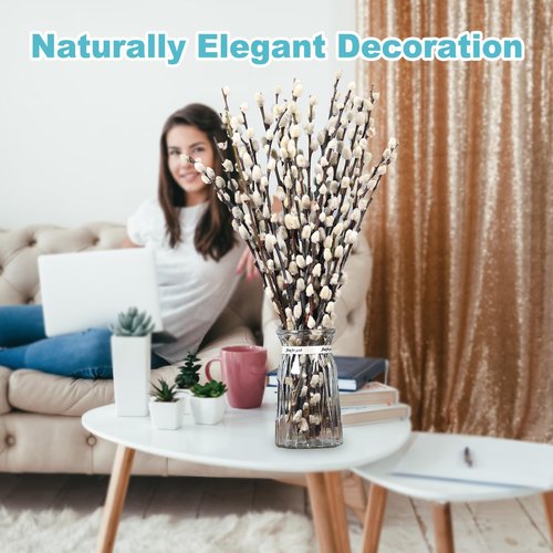 Natural Preserved Dried PussyWillow Branches for Vases, 15 Stems Real Willows, 17" Snow Pussywillows, Dried Flowers for Indoor and Outdoor Decor, Wedding Home DIY Floral Art Plants Fireplace