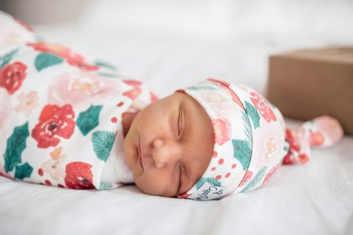 Copper Pearl Large Premium Knit Baby Swaddle Receiving Blanket Holly