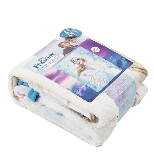 NORTHWEST Frozen Silk Touch Sherpa Throw Blanket, 40" x 50", Magical Destiny
