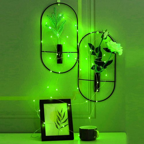 Ariceleo Mini Fairy Lights - Battery Operated Copper Wire String Lights | 16ft Green for St. Patrick's Day Decor