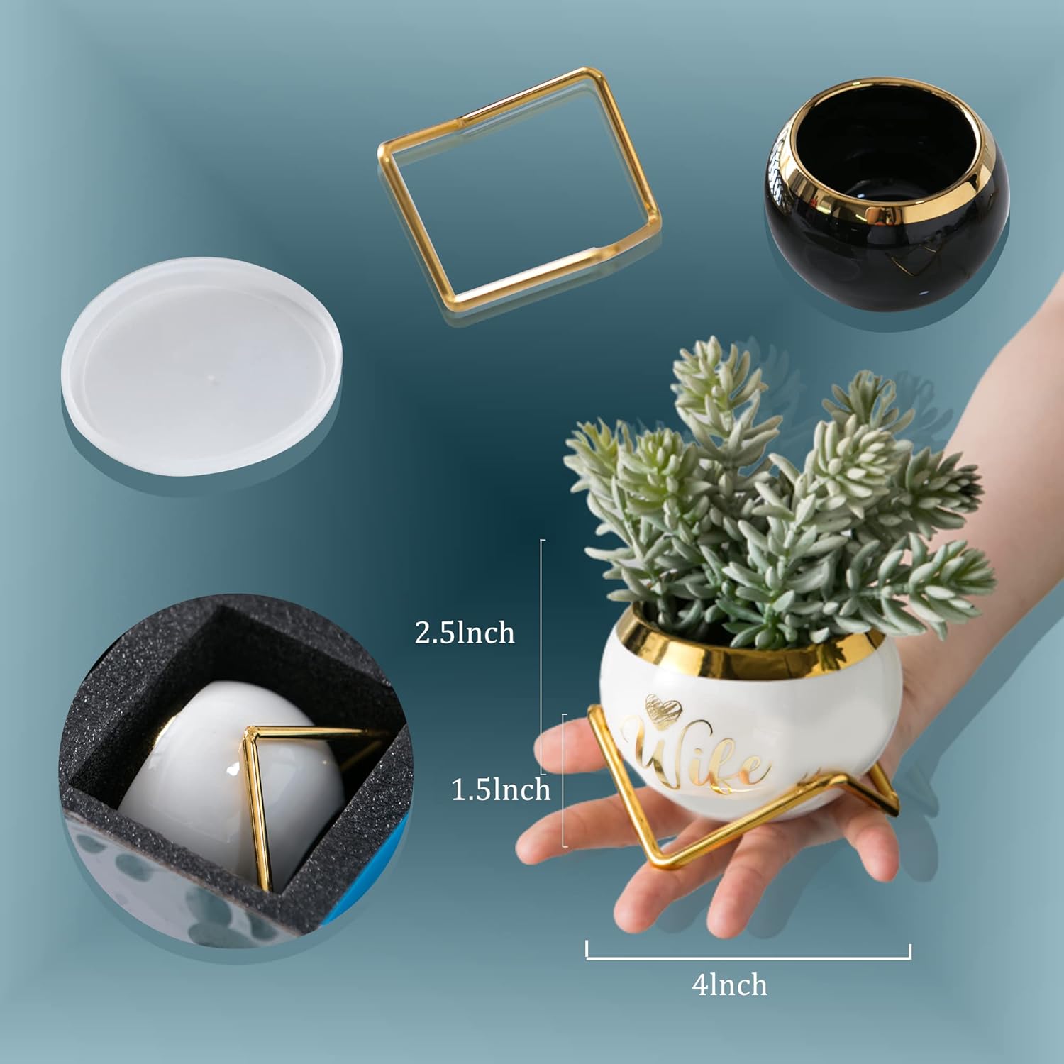PeraBella 3-Piece Succulent Planter Set - Perfect Romantic Gift for Her | Home Decor for Any Occasion