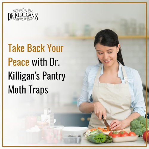 Dr. Killigan's Pantry Moth Traps - Double Potent Pheromone Sticky Traps for Kitchen | 6 Pack, Black