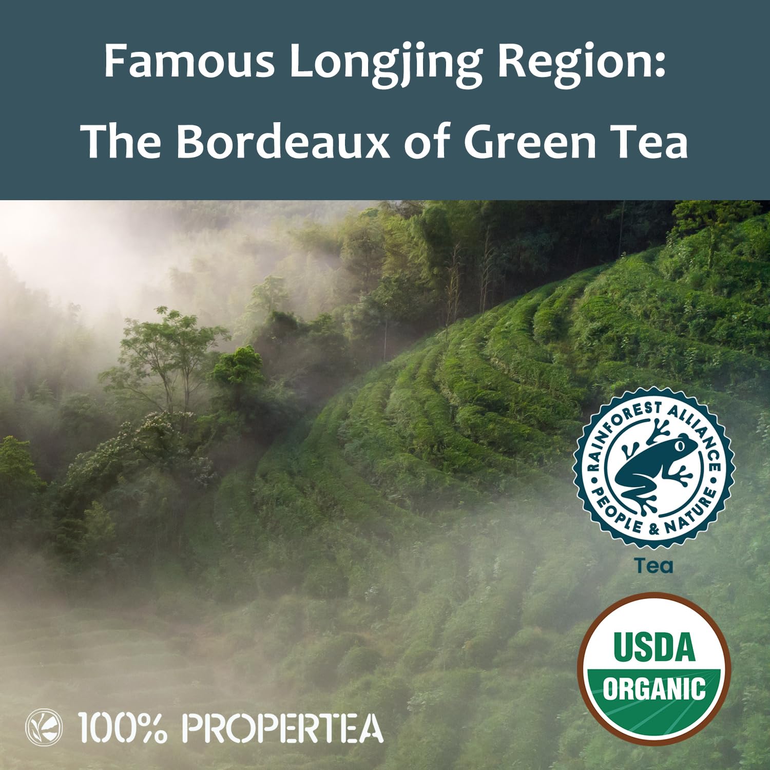 Propertea Organic Green Tea Bags - 100 Count Eco-Friendly Resealable Pouch | Rich in Antioxidants, Hot or Iced
