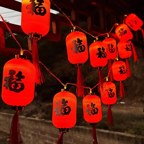 KYMY Chinese & Vietnamese New Year Red Lantern String Lights Set, 9.8ft/3M 20 LED Lanterns String Lamps, Battery Operated Fu Character Night Lights for Asian Spring Festival Lunar New Year Decor