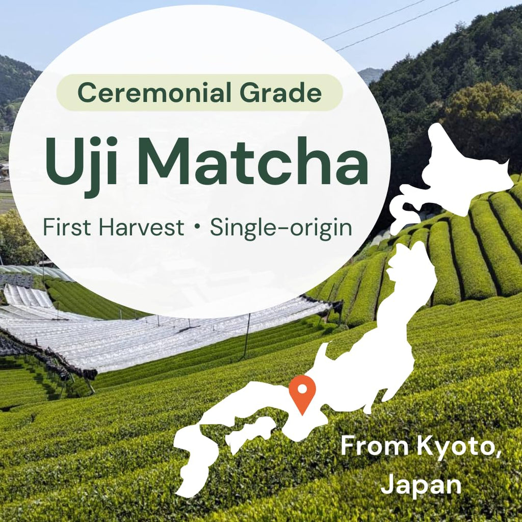 Wako Matcha - Authentic Uji Matcha Green Tea Powder | First Harvest, Ceremonial Grade, 40g
