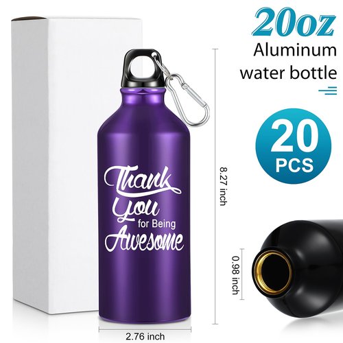 Tanlade 20 Pcs Employee Appreciation Gifts for Coworker Male Teacher 20oz Aluminum Water Bottle Bulk Thank You Being Awesome Leakproof Sport Water Tumbler with Twist Lid and Buckle(Multicolor)