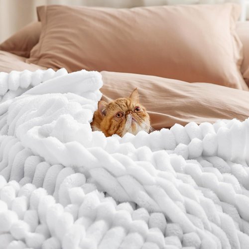 Bedsure GentleSoft Twin XL Blanket - Cozy White Fleece Throw for Women | Perfect Birthday Gift, 66x90 Inches