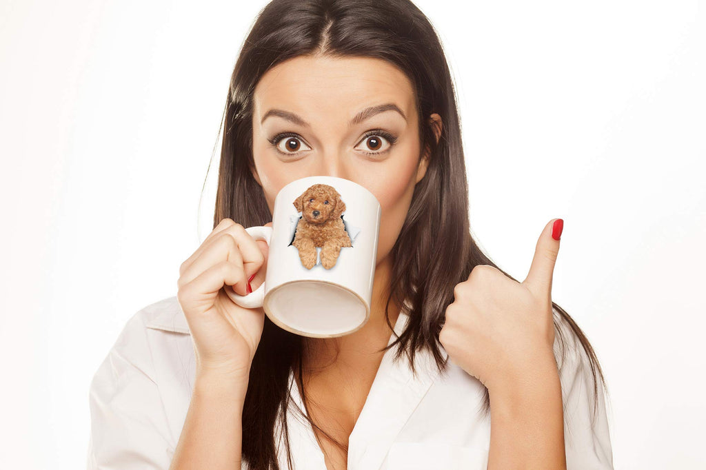 Funny Red Poodle Dog Mug - Ceramic Funny Coffee Mug - Perfect Dog Lover Gift - Cute Novelty Coffee Mug Present - Great Birthday or Christmas Surprise for Friend or Coworker, Men and Women (15oz)