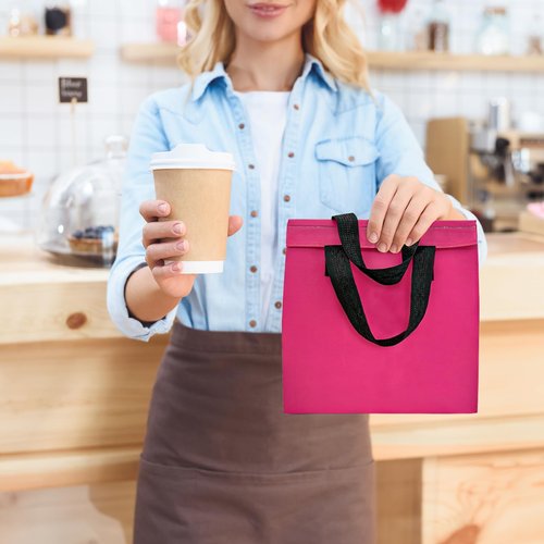 120 Pcs Insulated Take Out Bags Bulk in Thermal Insulation Lunch Bag for Hot Cold Food Pizza Coffee Milk Tea Delivery Cooler Bag for Catering Restaurant Picnic (9.5 x 9.5 x 6 in) (120, 24x24x15)