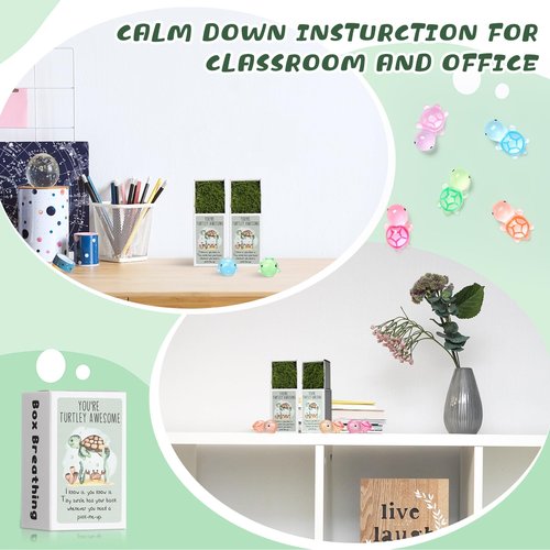 Wonderjune Employee Appreciation Gifts Bulk Emotional Coworker Support Small Gifts for Teacher Social Worker Volunteer Lab Week Office Staff End of Year Presents Adults Party Favors(Turtle)