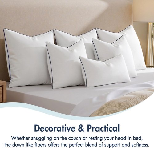 MIULEE 24x24 Euro Pillow Inserts, Fluffy Down Alternative Filling Pack of 2 Ultra Soft Throw Pillows for Bed Sofa Couch