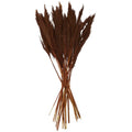 Deco 79 Dried Plant Pampas Home Decor Natural Foliage Natural Dried Foliage with Long Stems, Foliage for Decoration 2" x 1" x 35", Copper