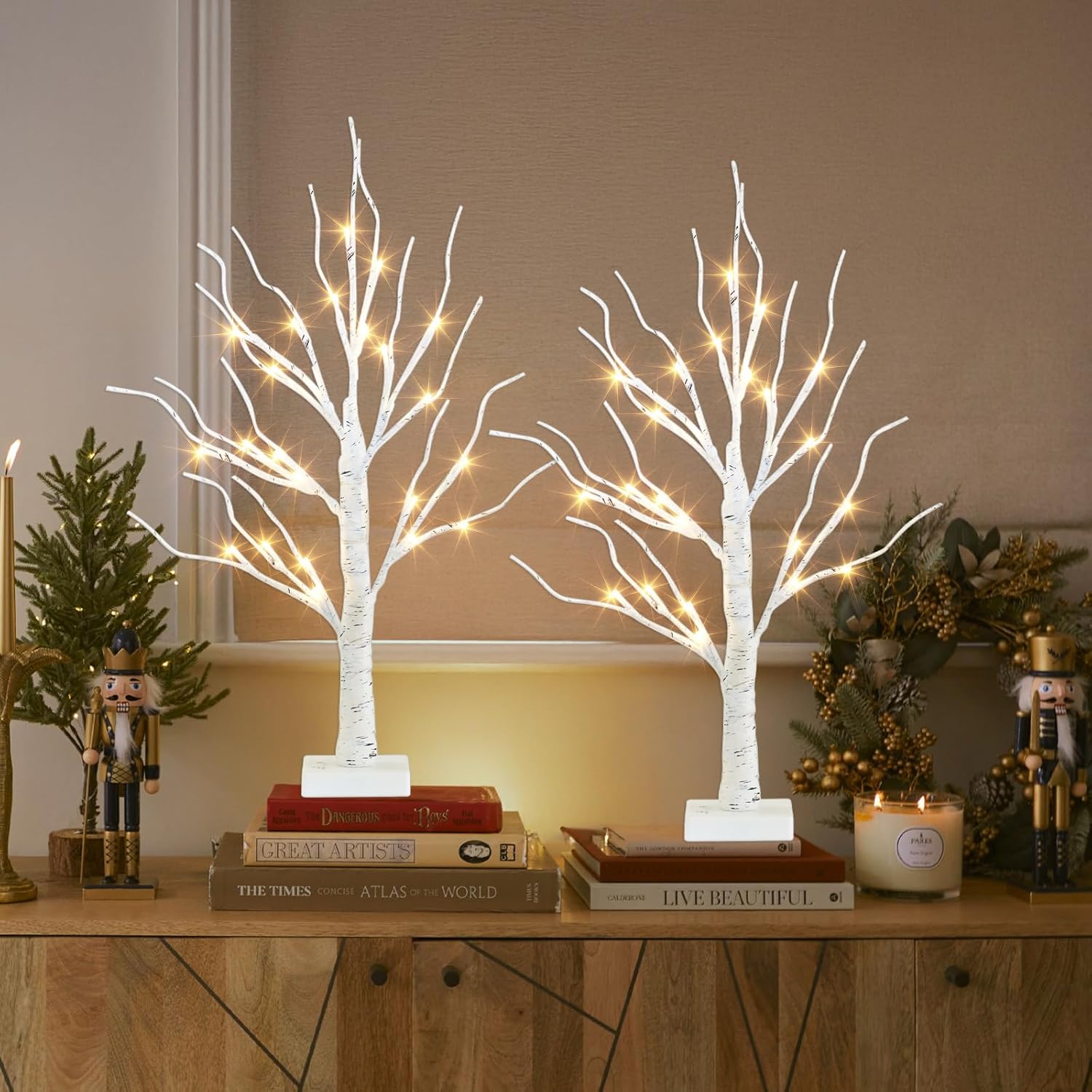 PEIDUO 2FT Birch Tree Easter Decorations - LED Light Up Tree Lamp with Timer & Warm White Glow | Indoor Table Decor (2PK)