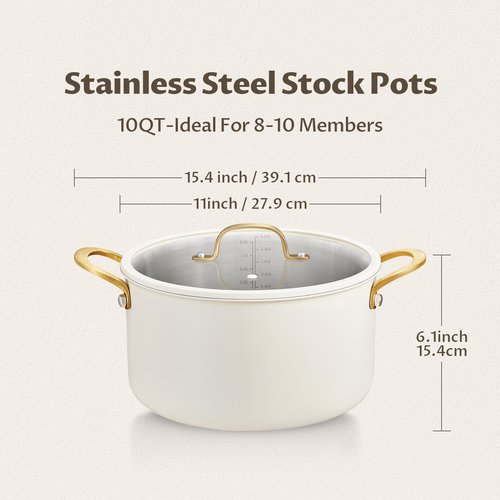 BEZIA 10 Quart Stainless Steel Stock Pot, Large Soup Pot, Casserole with Lid, Stockpot with Visible Lid, Silicone Edging, Sturdy & Double Handle, Induction Cooking Pot for Pasta, Soup, Spaghetti