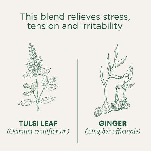 Traditional Medicinals Tea, Organic Tulsi & Ginger, Relieves Stress, Tension, & Irritability, 96 Tea Bags (6 Pack)