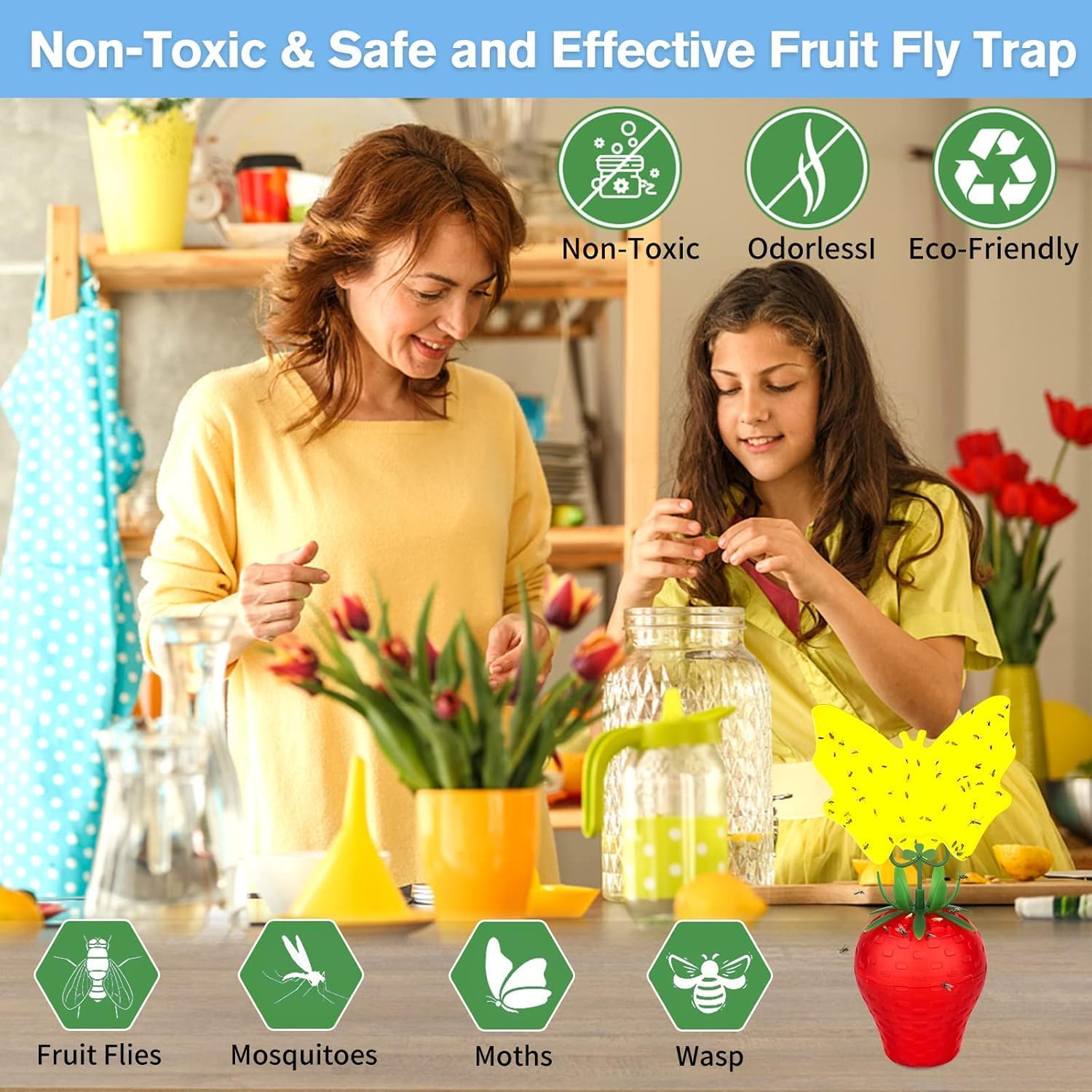 Skiennix Fruit Fly Traps - Effective Indoor Gnat Killer | Safe for Pets & People, Durable Sticky Design