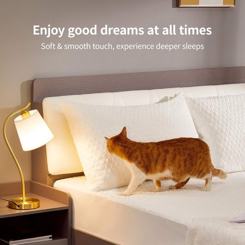 CoolShields Pillow Protector - Waterproof Hypoallergenic Zippered Covers | 2 Pack Standard Size for Better Sleep