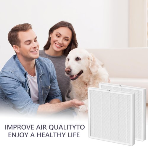 CFKREYA Replacement Filter Compatible with LAMPICK Cleaner-A6 Air Purifier, 4-in-1 Air Filter Replacement, 2 Pack