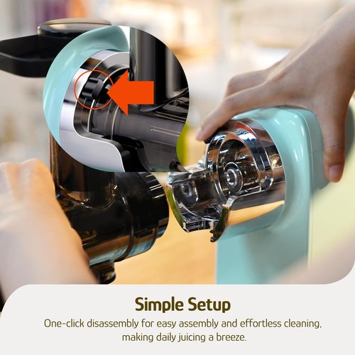 Hazel Quinn Masticating Juicer - Cold Press Slow Juicer for Fruits and Vegetables, BPA-Free Juice Extractor, Easy to Clean, 2-Speed Control, Reverse Function, Quiet Operation, Dishwasher Safe