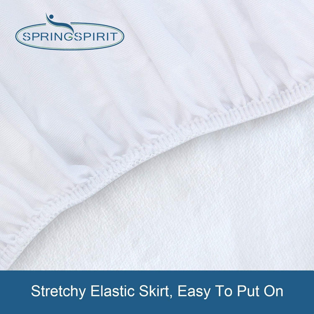 Regine Waterproof Queen Mattress Protector - Absorbent Fitted Cover with 18'' Deep Pocket