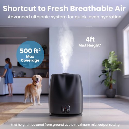 Everlasting Comfort 6L Humidifier - Quiet 50HR Runtime | No-Filter Cool Mist for Large Rooms, Nursery & Allergies