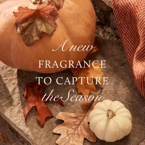 Thymes Scented Candles for Home Decor - Luxury Home Fragrance Gifts for Women & Men - Fall Candles with Creamy Pumpkin, Nutmeg, & Cinnamon - Burnt Orange (Pumpkin Laurel, 6.5 oz)